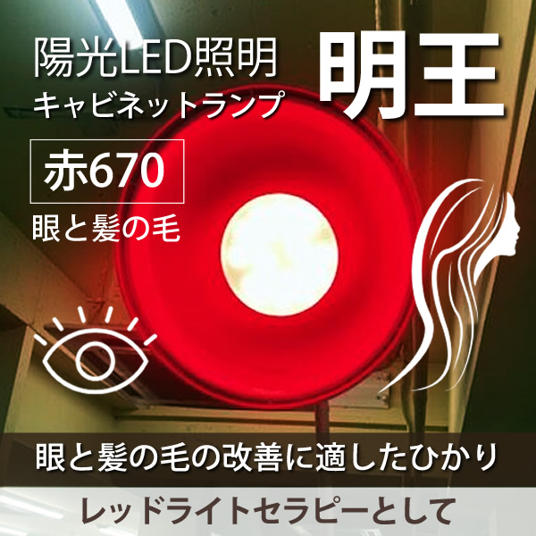 陽光LED照明「明王」ライトセラピー用 キャビネットランプ GX53-1/E26対応 目・髪の改善 赤色670型