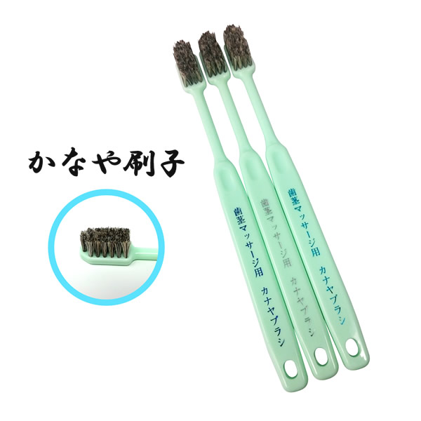 歯茎マッサージ用 馬毛と山羊毛 歯ブラシ 3本セット：ポスト便