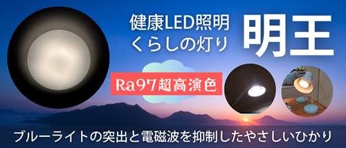 陽光LED照明「明王」