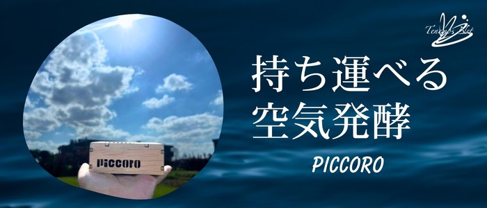携帯用空気活性機ピッコロ