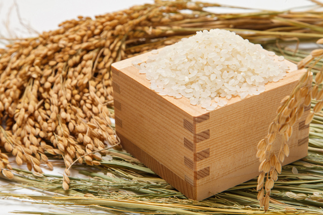 お米と大豆の酵素水