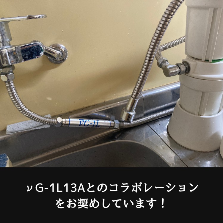 νG13Aとのコラボレーション