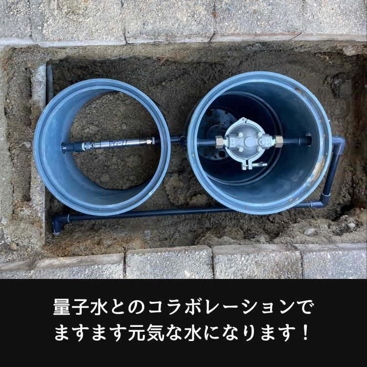 量子水とのコラボレーション