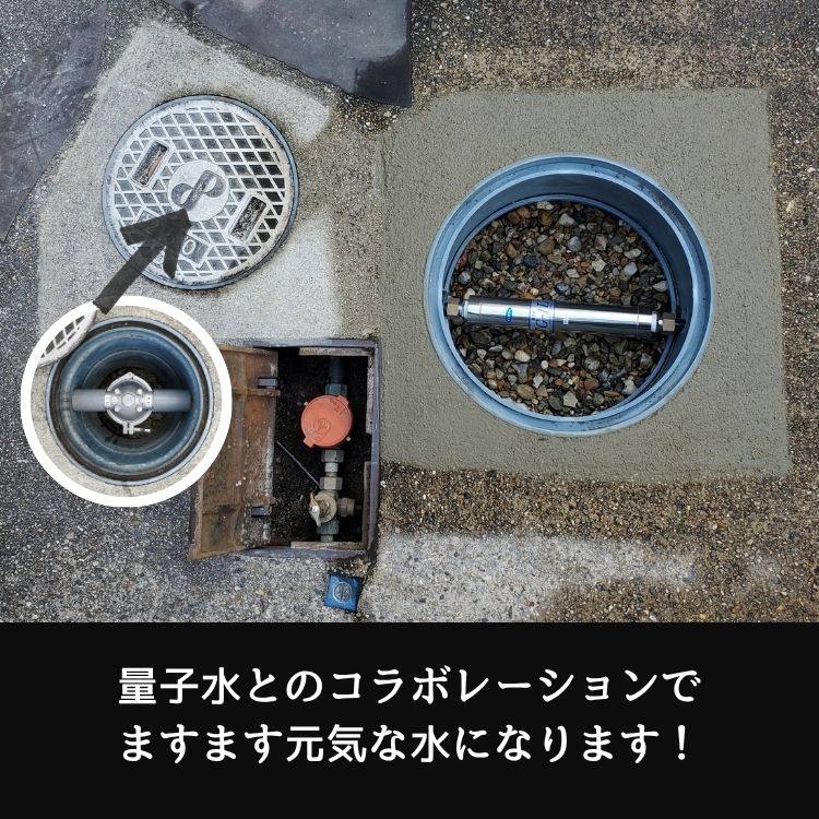 量子水とのコラボレーション