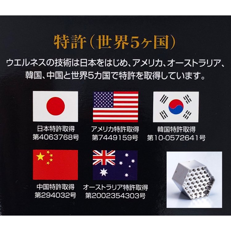 ウエルネス世界特許
